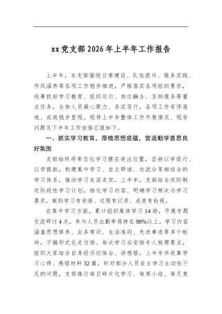 党支部2026年上半年工作报告