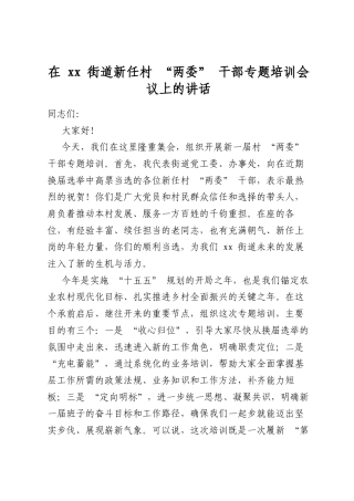 在街道新任村“两委”干部专题培训会议上的讲话