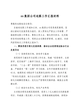 集团公司巡察工作汇报材料