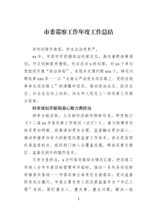 市委巡察工作年度工作总结