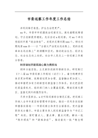市委巡察工作年度工作总结