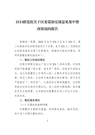 区妇联党组关于区委巡察反馈意见集中整改情况的报告