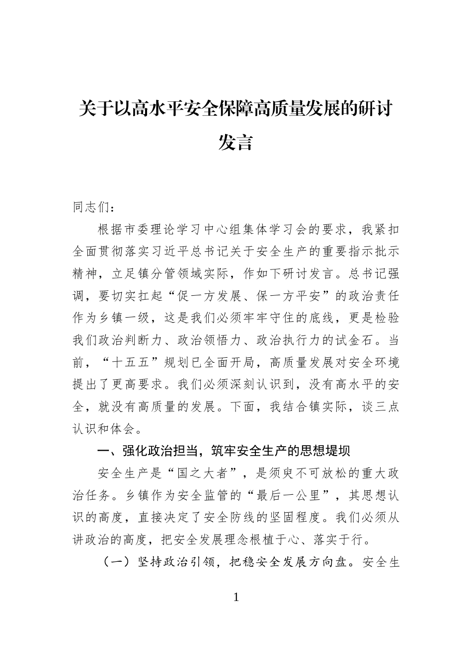关于以高水平安全保障高质量发展的研讨发言_第1页