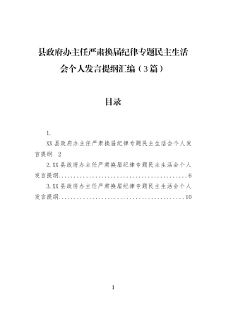 县政府办主任严肃换届纪律专题民主生活会个人发言提纲汇编（3篇）