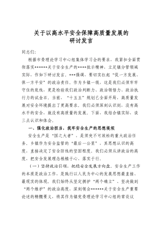 关于以高水平安全保障高质量发展的研讨发言