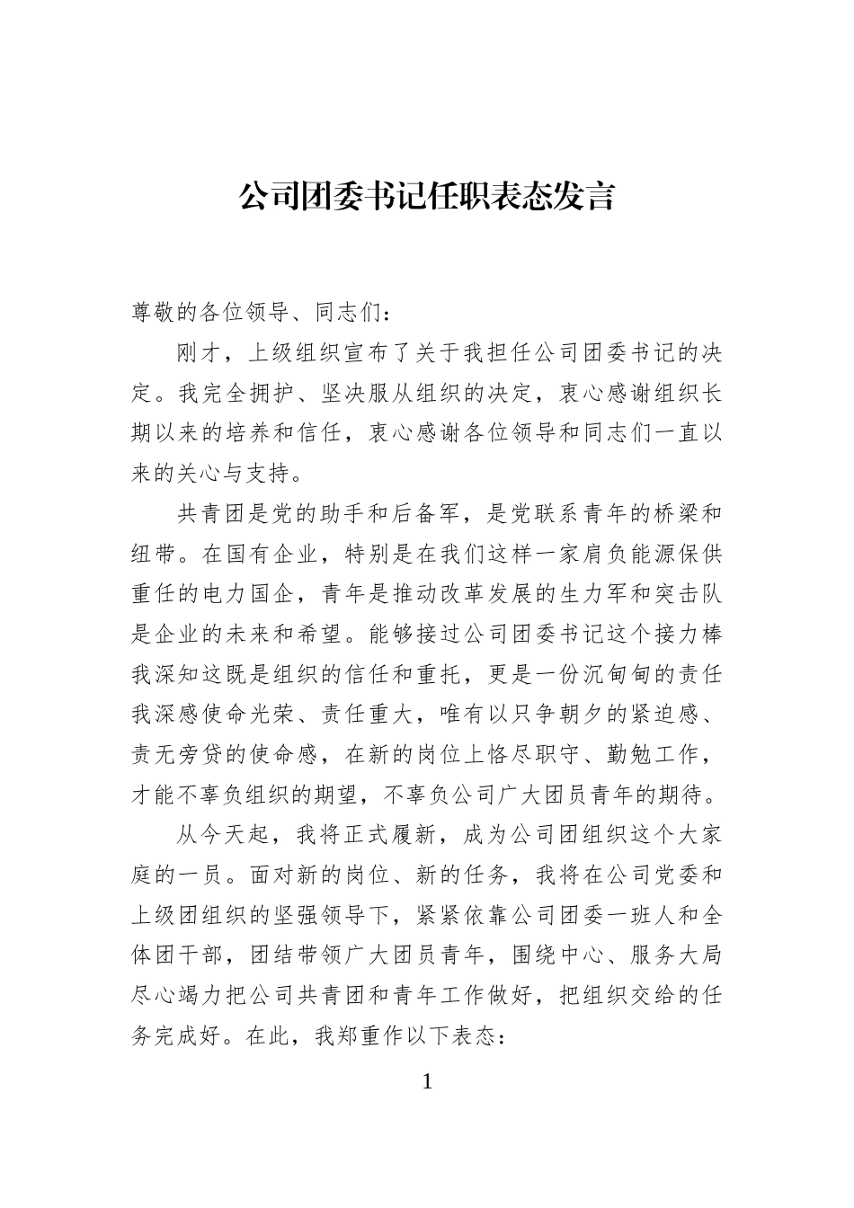 公司团委书记任职表态发言_第1页