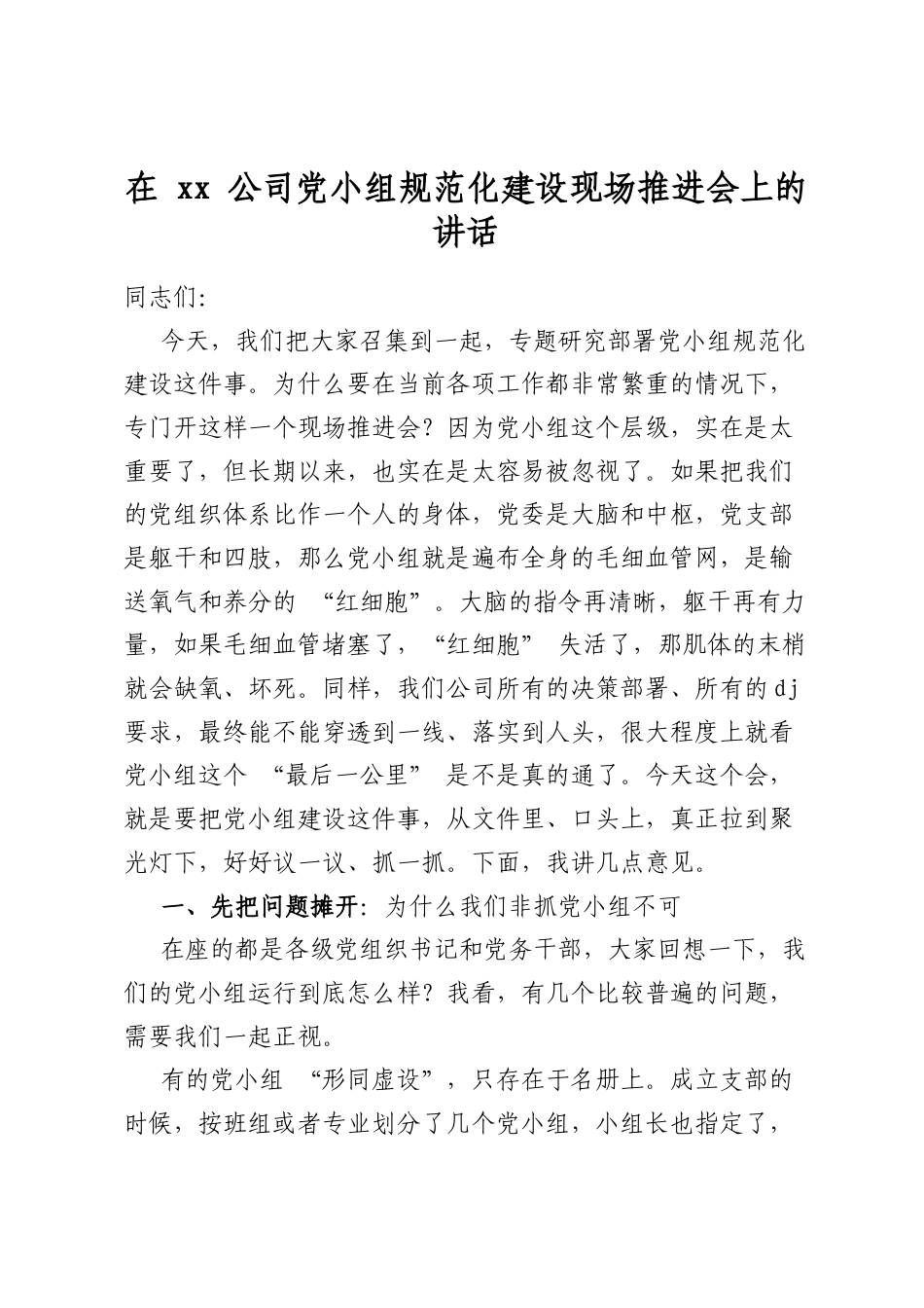 在公司党小组规范化建设现场推进会上的讲话_第1页