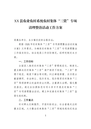 XX县农业农村系统农村集体“三资”专项清理整治活动工作方案