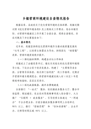 乡镇营商环境建设自查情况报告