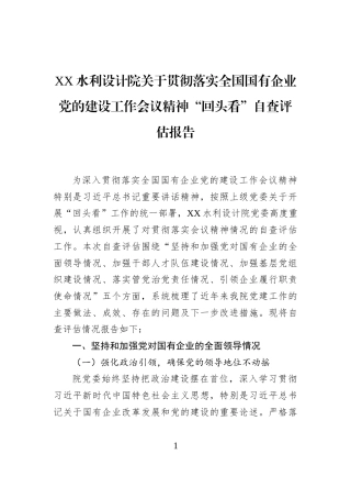 XX水利设计院关于贯彻落实全国国有企业党的建设工作会议精神“回头看”自查评估报告