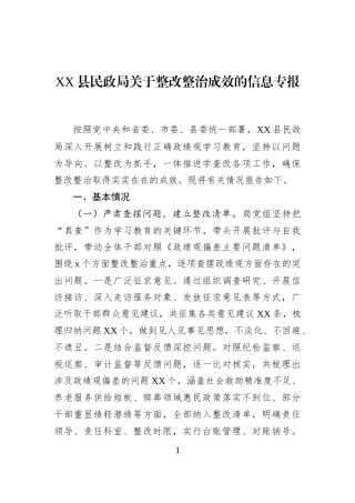 XX县民政局关于整改整治成效的信息专报
