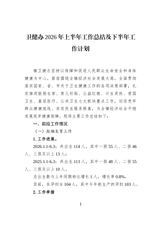 卫健办2026年上半年工作总结及下半年工作计划