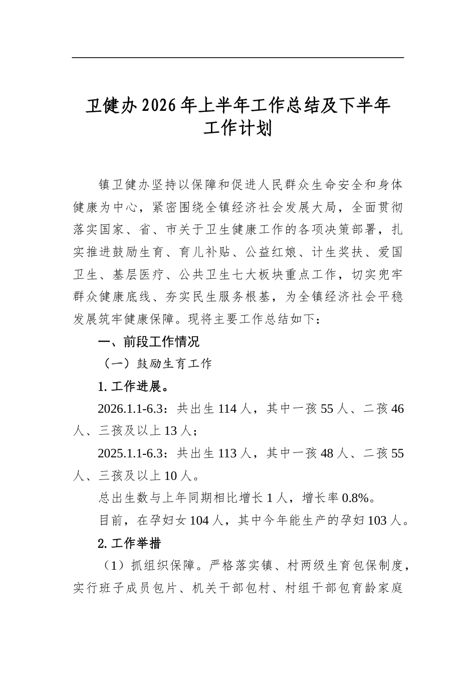 卫健办2026年上半年工作总结及下半年工作计划_第1页