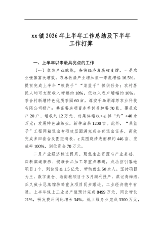 XX镇2026年上半年工作总结及下半年工作打算