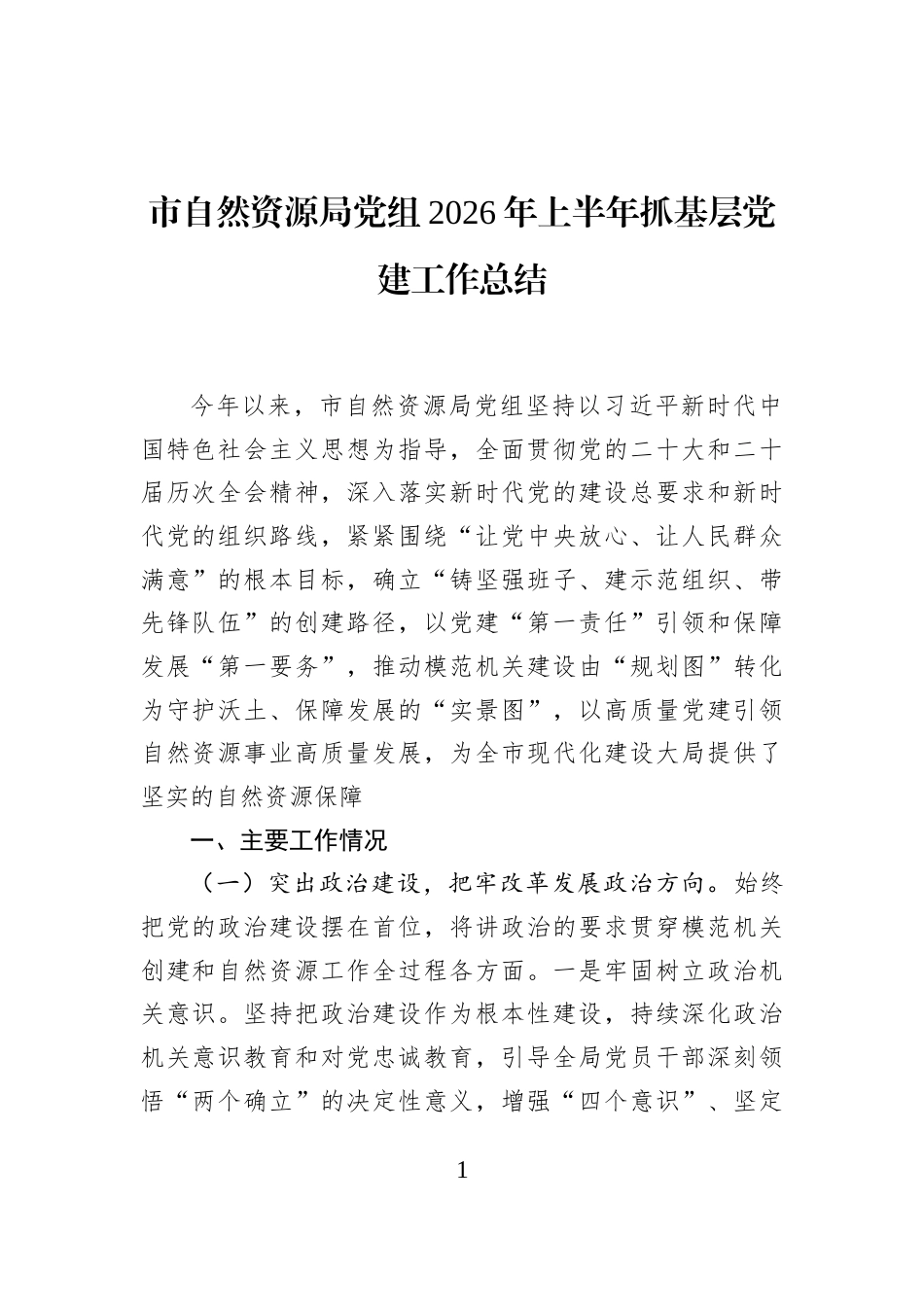 市自然资源局党组2026年上半年抓基层党建工作总结_第1页