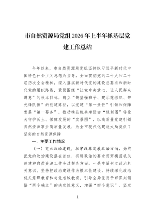 市自然资源局党组2026年上半年抓基层党建工作总结
