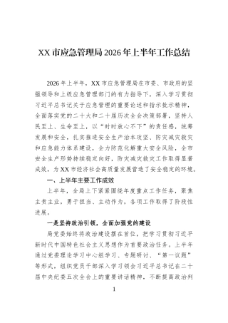 XX市应急管理局2026年上半年工作总结