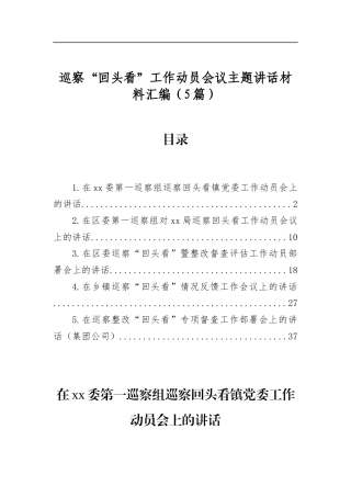 巡察“回头看”工作动员会议主题讲话材料汇编（5篇）