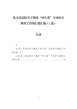 县人民法院关于整改“回头看”专项审计调查工作的汇报汇编（2篇）