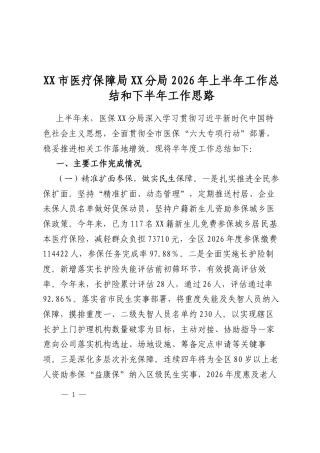 市医疗保障局分局2026年上半年工作总结和下半年工作思路计划