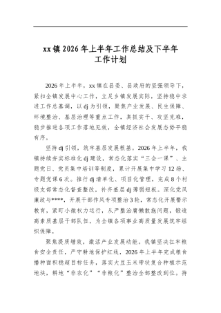 镇2026年上半年工作总结及下半年工作计划