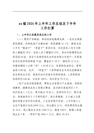 镇2026年上半年工作总结及下半年工作打算计划