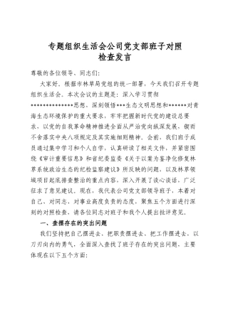 专题组织生活会公司党支部班子对照检查发言