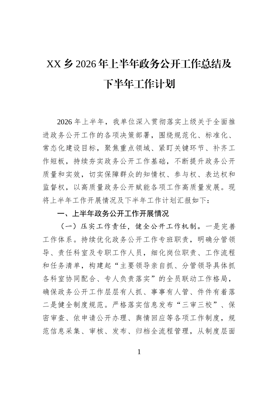 XX乡2026年上半年政务公开工作总结及下半年工作计划_第1页