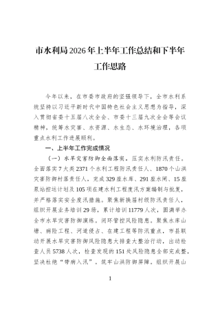 市水利局2026年上半年工作总结和下半年工作思路