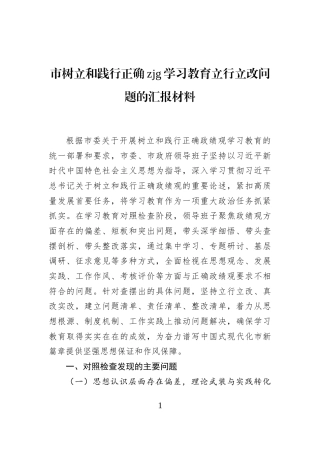 市树立和践行正确政绩观学习教育立行立改问题的汇报材料