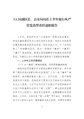 XX区副区长、公安局局长上半年履行从严管党治警责任述职报告