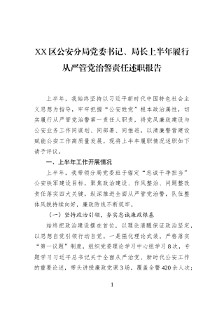 XX区公安分局党委书记、局长上半年履行从严管党治警责任述职报告