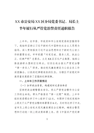 XX市公安局XX区分局党委书记、局长上半年履行从严管党治警责任述职报告