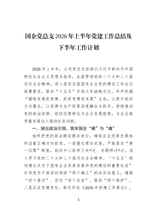 国企党总支2026年上半年党建工作总结及下半年工作计划