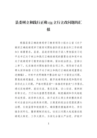 县委树立和践行正确政绩观立行立改问题的汇报