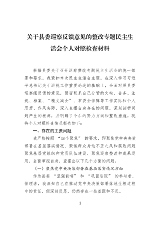 关于县委巡察反馈意见的整改专题民主生活会个人对照检查材料