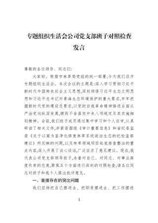 专题组织生活会公司党支部班子对照检查发言