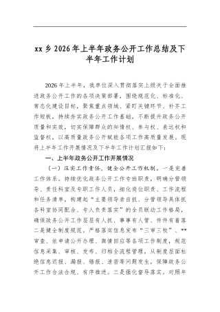 乡2026年上半年政务公开工作总结及下半年工作计划