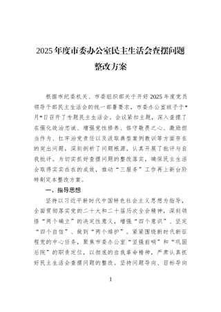 2025年度市委办公室民主生活会查摆问题整改方案