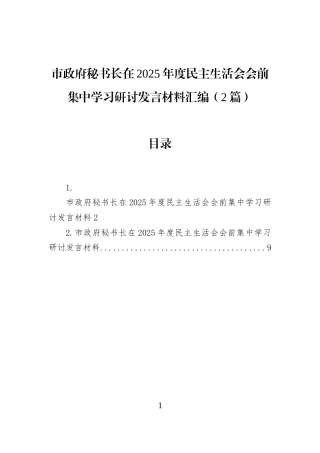 市政府秘书长在2025年度民主生活会会前集中学习研讨发言材料汇编（2篇）