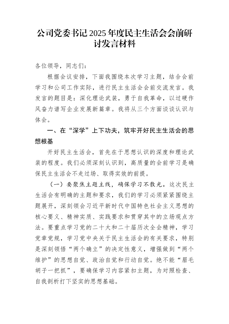 公司党委书记2025年度民主生活会会前研讨发言材料_第1页