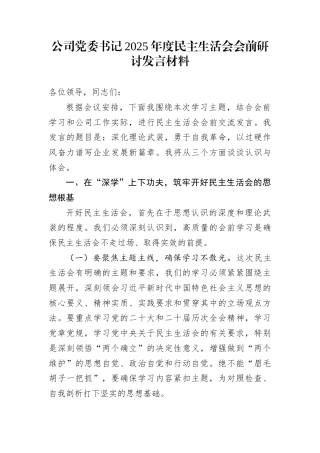 公司党委书记2025年度民主生活会会前研讨发言材料