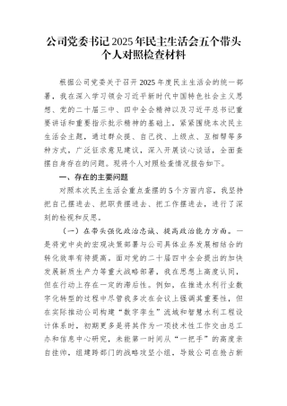 公司党委书记2025年民主生活会五个带头个人对照检查材料