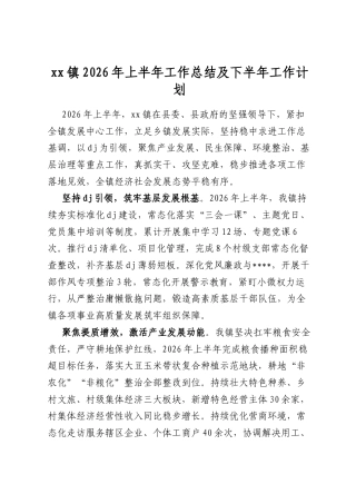 镇2026年上半年工作总结及下半年工作计划