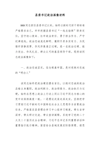 县委书记政治画像材料
