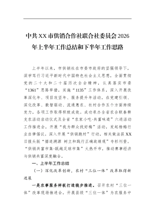 中共市供销合作社联合社委员会2026年上半年工作总结和下半年工作思路