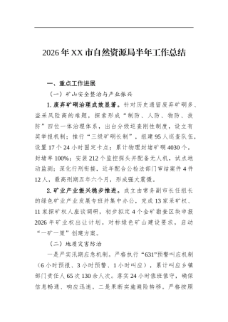 2026年市自然资源局半年工作总结