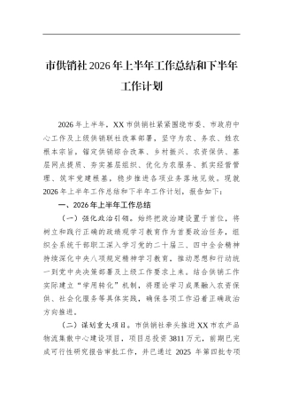 市供销社2026年上半年工作总结和下半年工作计划