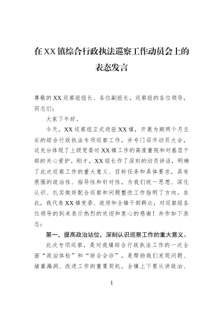 在XX镇综合行政执法巡察工作动员会上的表态发言