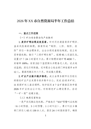 2026年XX市自然资源局半年工作总结